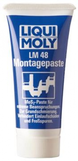 Montazni pasta